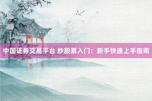 中国证券交易平台 炒股票入门：新手快速上手指南