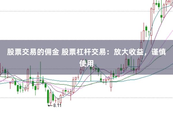 股票交易的佣金 股票杠杆交易：放大收益，谨慎使用