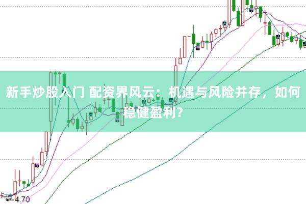 新手炒股入门 配资界风云：机遇与风险并存，如何稳健盈利？