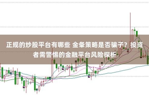 正规的炒股平台有哪些 金夆策略是否骗子？投资者需警惕的金融平台风险探析