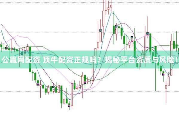 公赢网配资 顶牛配资正规吗？揭秘平台资质与风险！