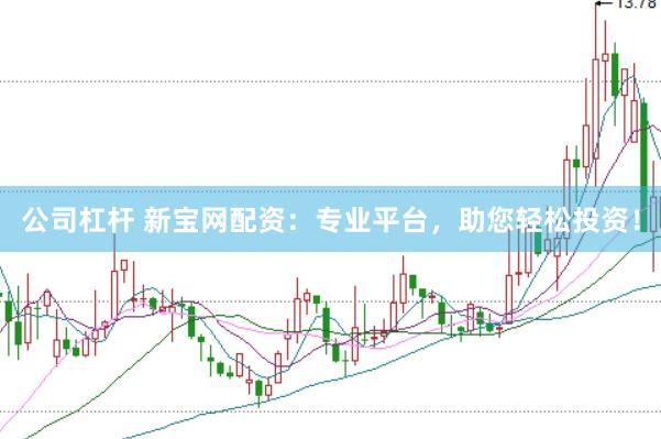 公司杠杆 新宝网配资：专业平台，助您轻松投资！