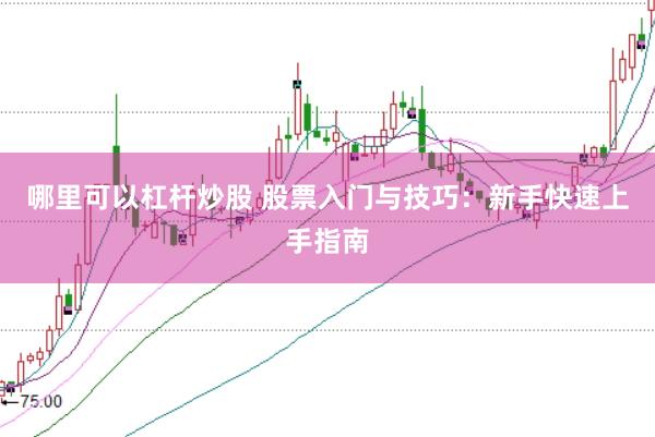 哪里可以杠杆炒股 股票入门与技巧：新手快速上手指南