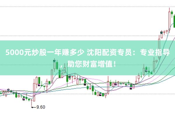 5000元炒股一年赚多少 沈阳配资专员：专业指导，助您财富增值！