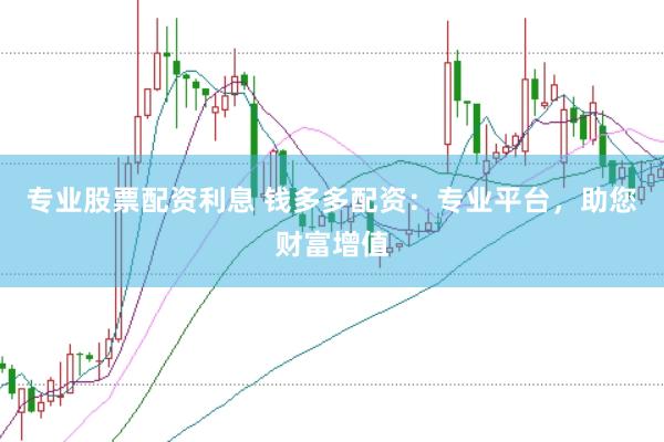 专业股票配资利息 钱多多配资：专业平台，助您财富增值