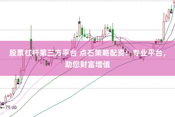 股票杠杆第三方平台 点石策略配资：专业平台，助您财富增值