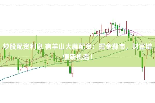 炒股配资利息 宿羊山大蒜配资：掘金蒜市，财富增值新机遇！