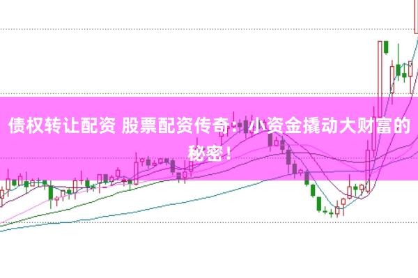 债权转让配资 股票配资传奇：小资金撬动大财富的秘密！