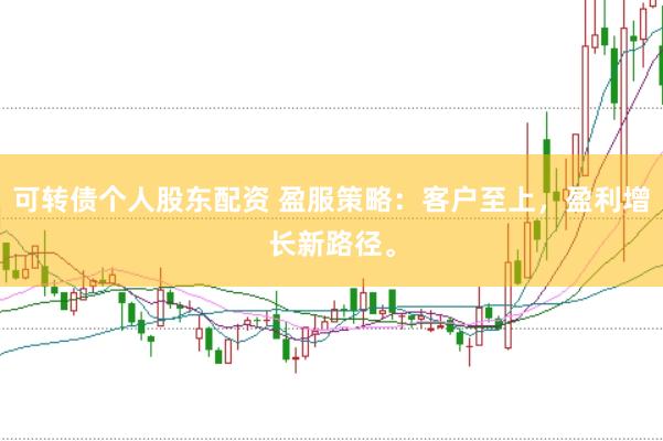 可转债个人股东配资 盈服策略：客户至上，盈利增长新路径。