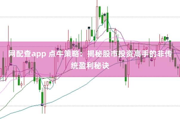 网配查app 点牛策略：揭秘股市投资高手的非传统盈利秘诀