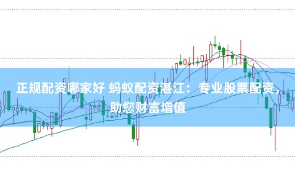 正规配资哪家好 蚂蚁配资湛江：专业股票配资，助您财富增值