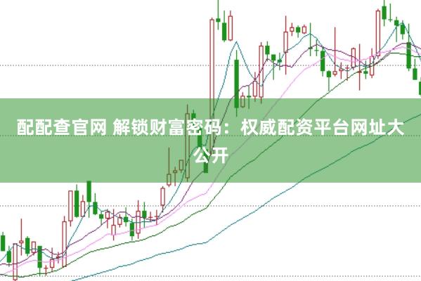 配配查官网 解锁财富密码:权威配资平台网址大公开