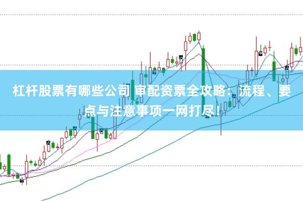 杠杆股票有哪些公司 审配资票全攻略：流程、要点与注意事项一网打尽！
