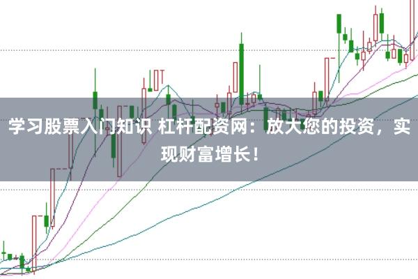 学习股票入门知识 杠杆配资网:放大您的投资,实现财富增长!